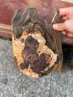 Cocobolo small burls