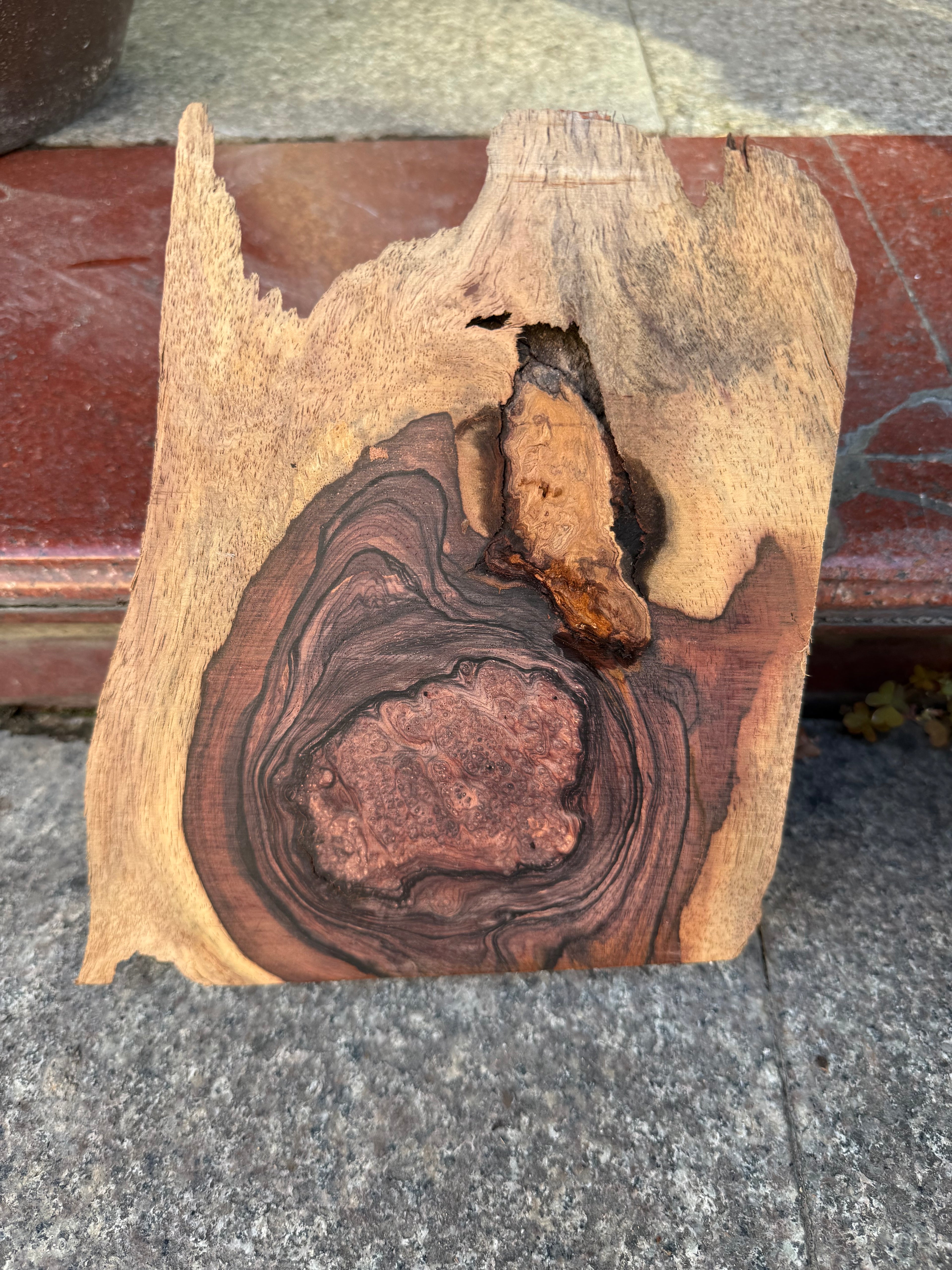Cocobolo small burls