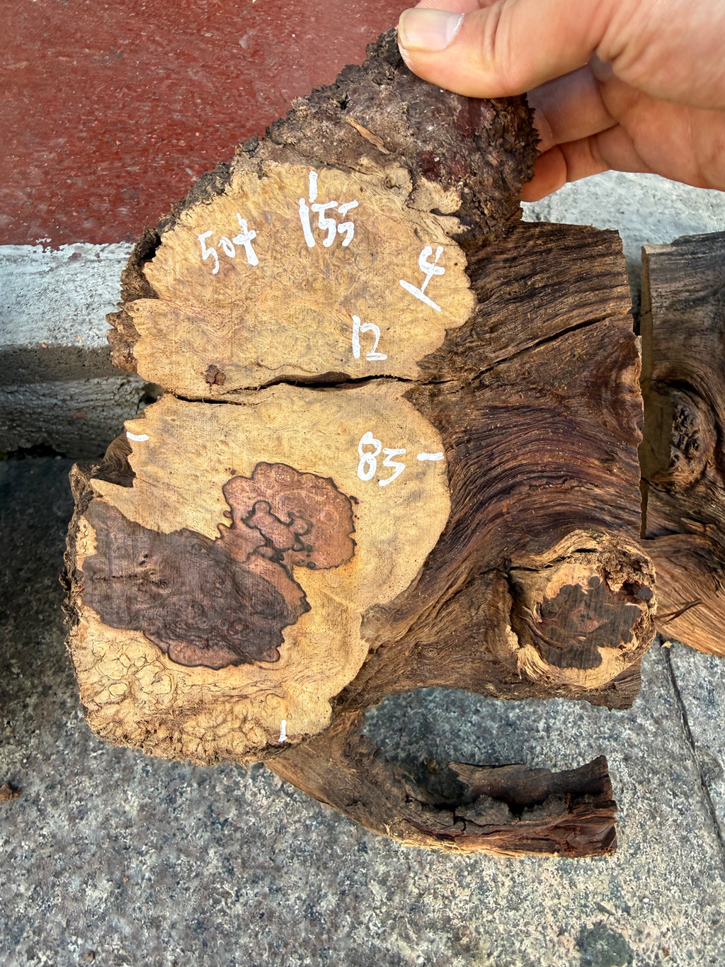 Cocobolo small burls