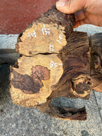 Cocobolo small burls