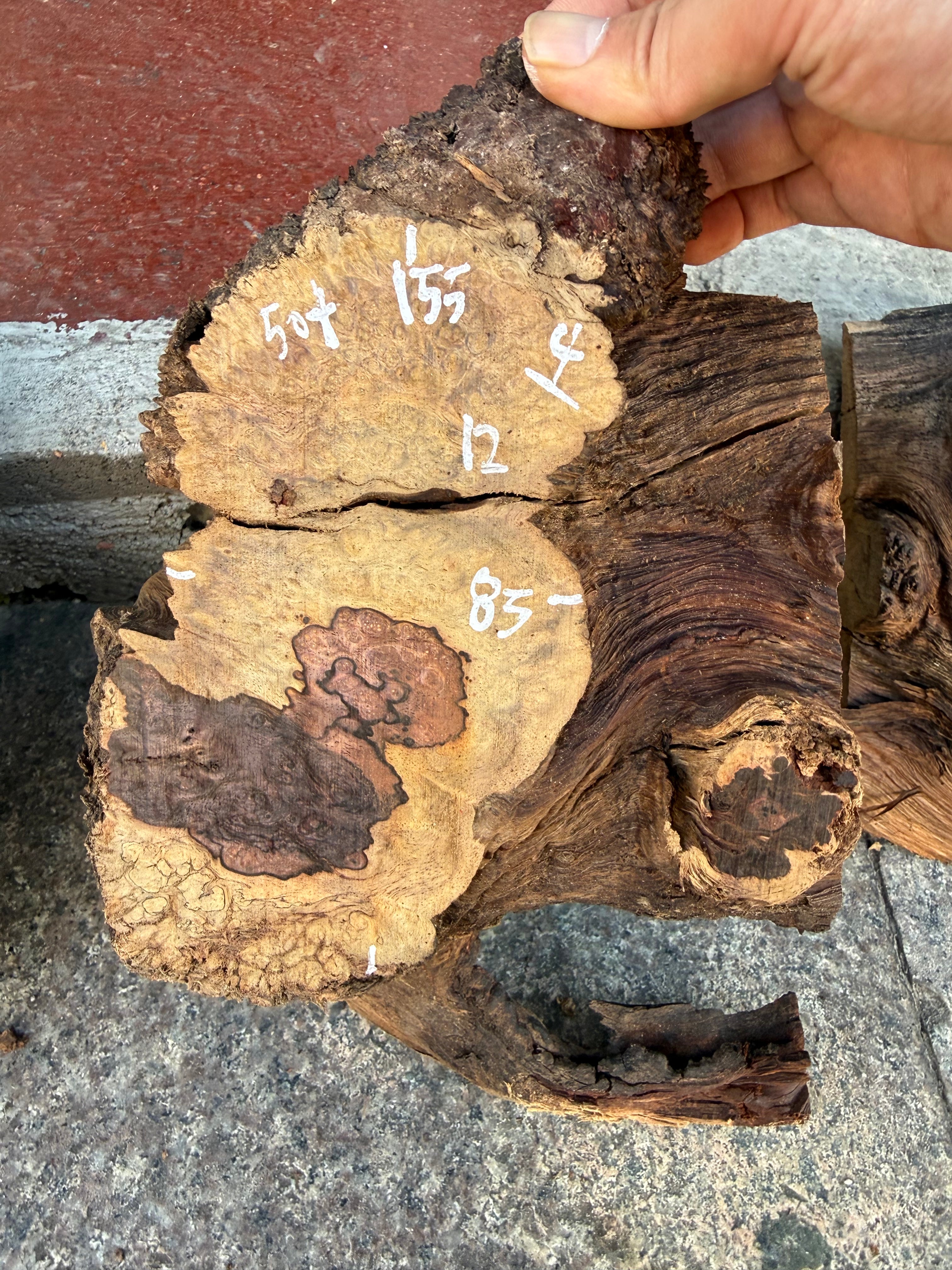 Cocobolo small burls