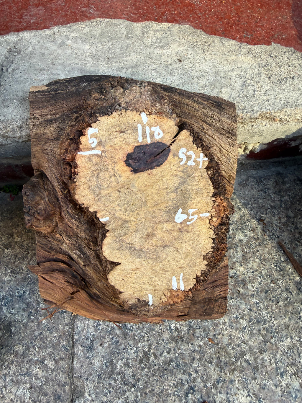 Cocobolo small burls