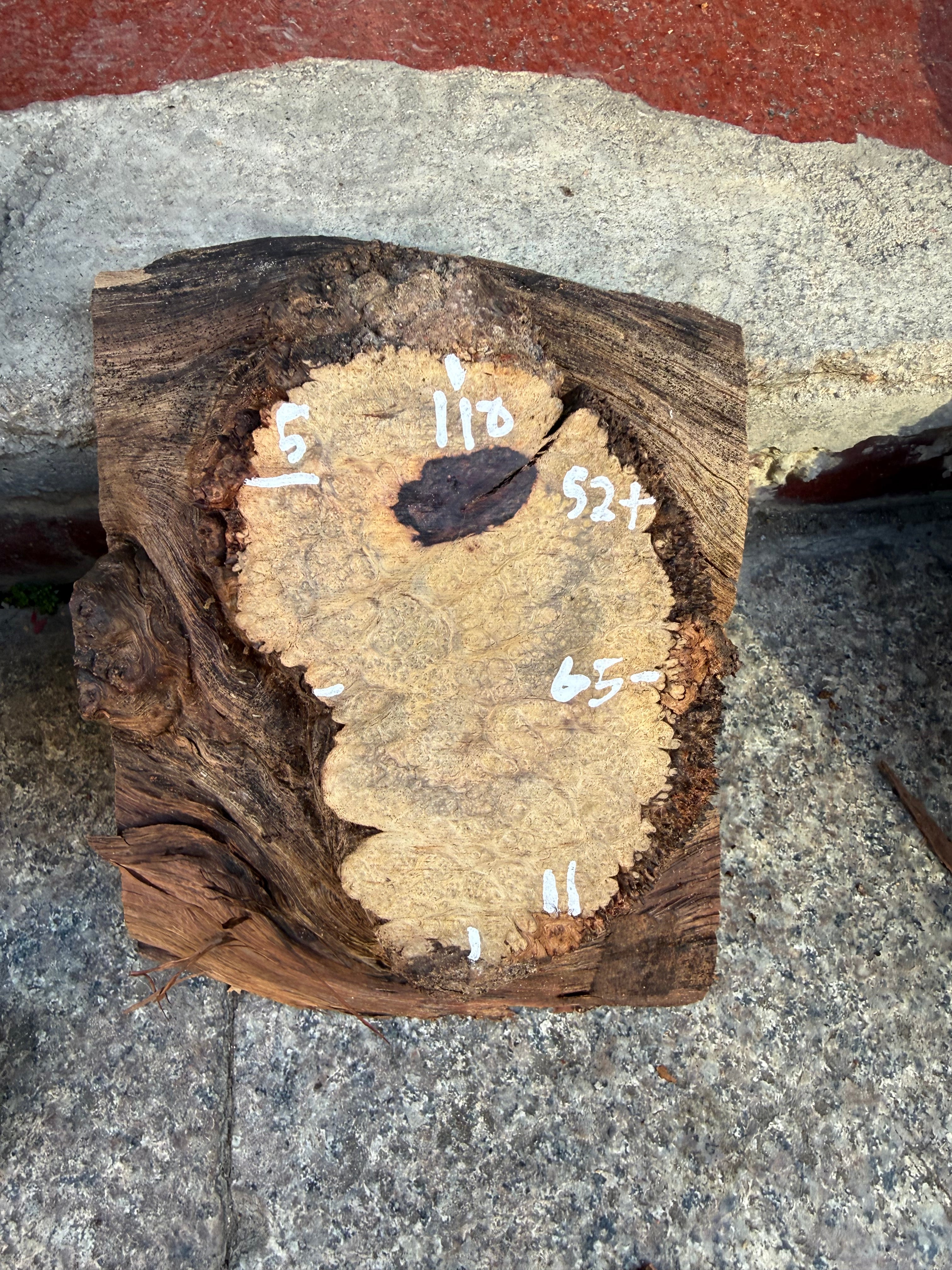 Cocobolo small burls