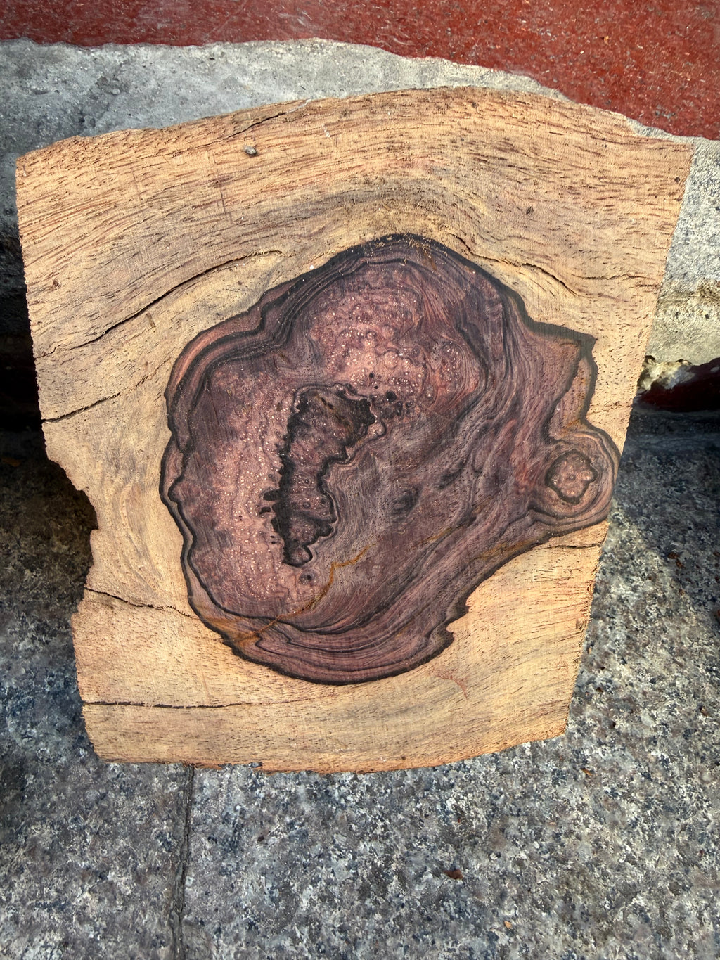 Cocobolo small burls
