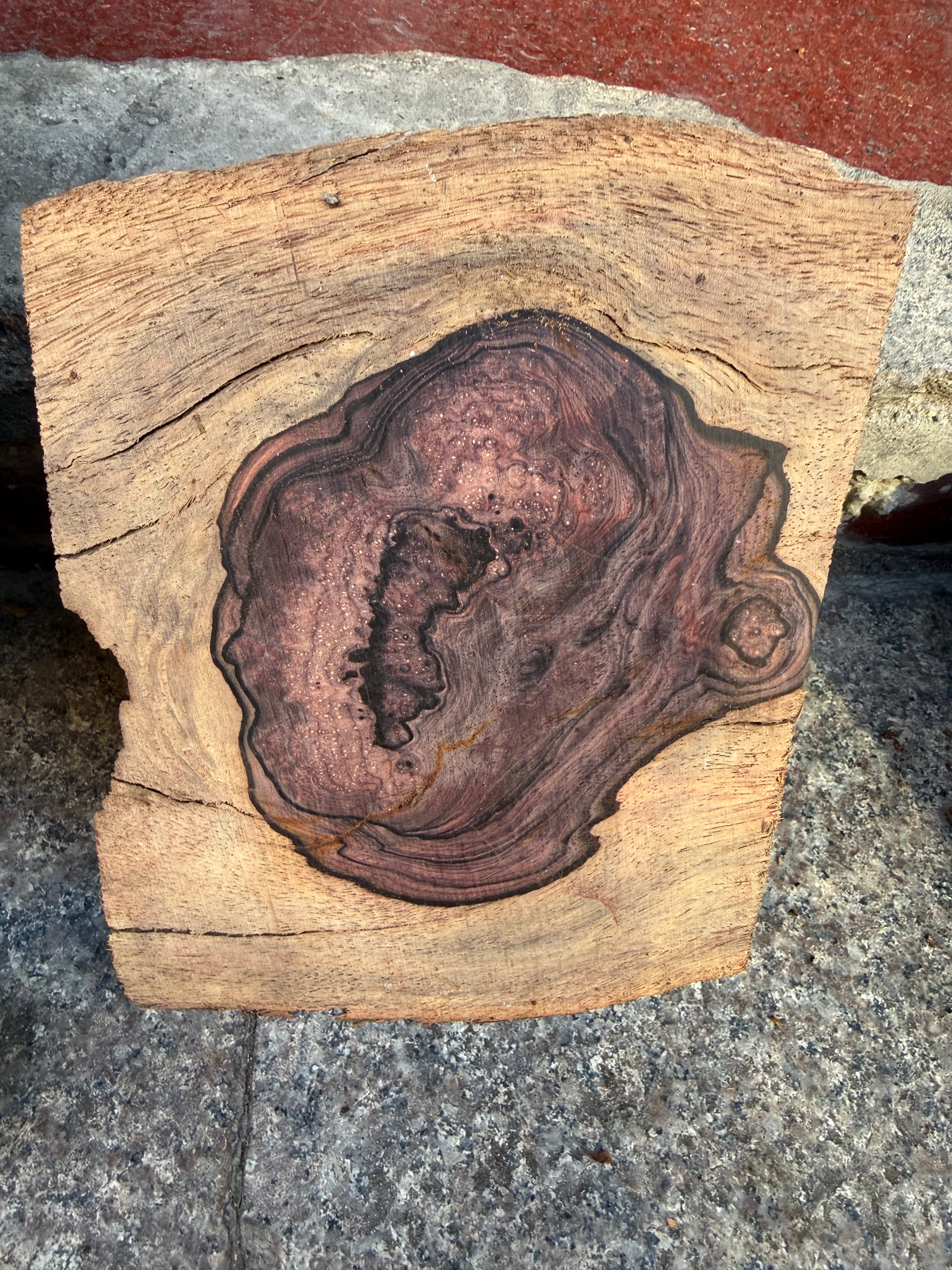 Cocobolo small burls