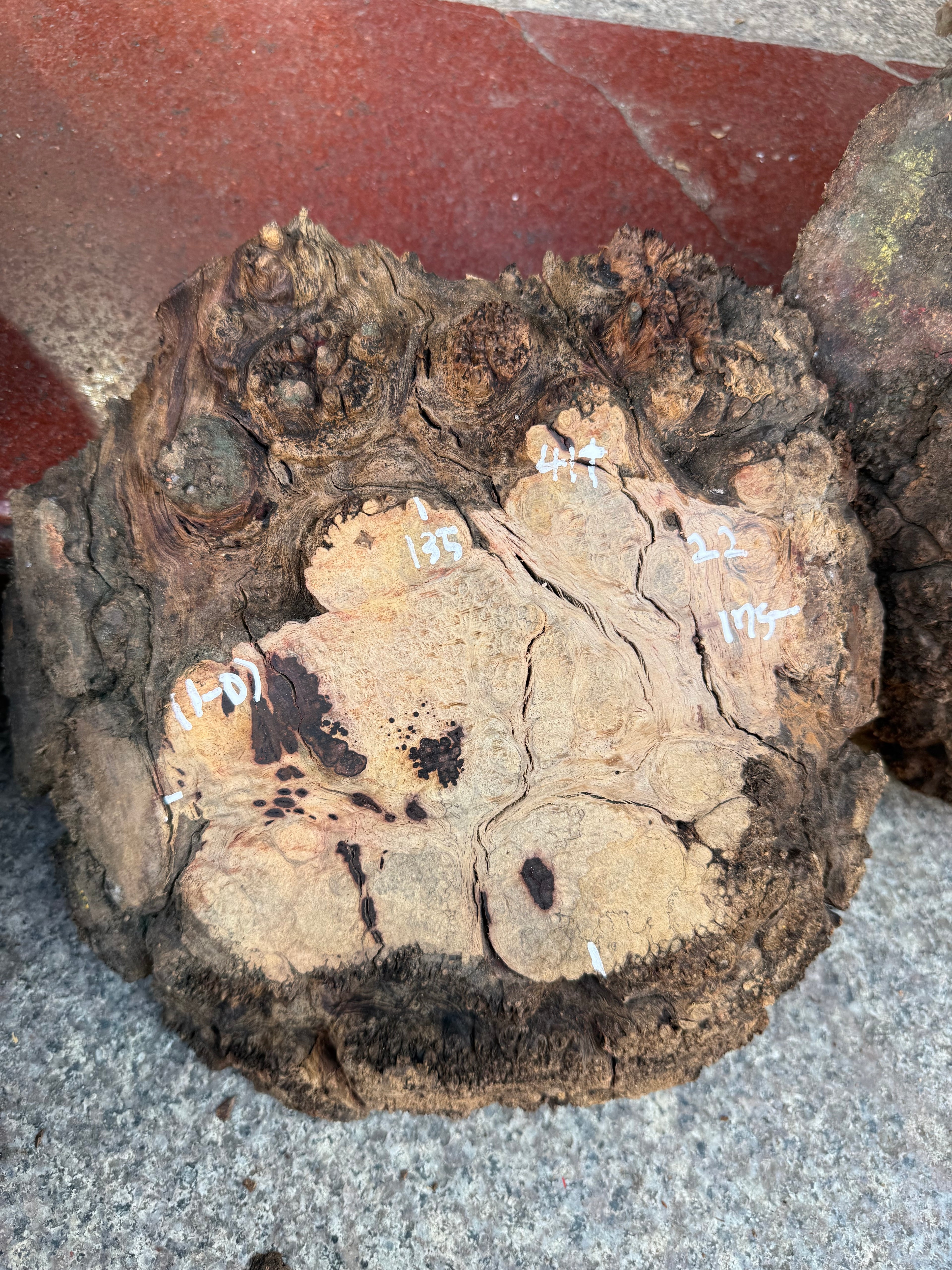 Cocobolo burls