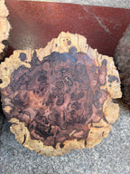 Cocobolo burls