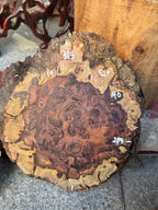 Cocobolo burls