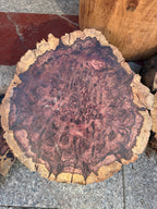 Cocobolo burls