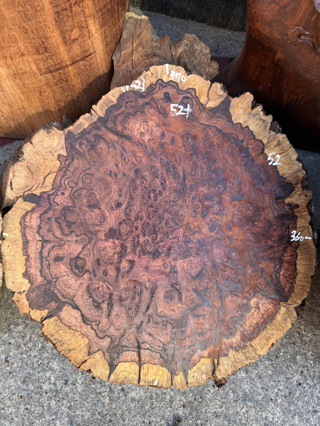 Cocobolo burls