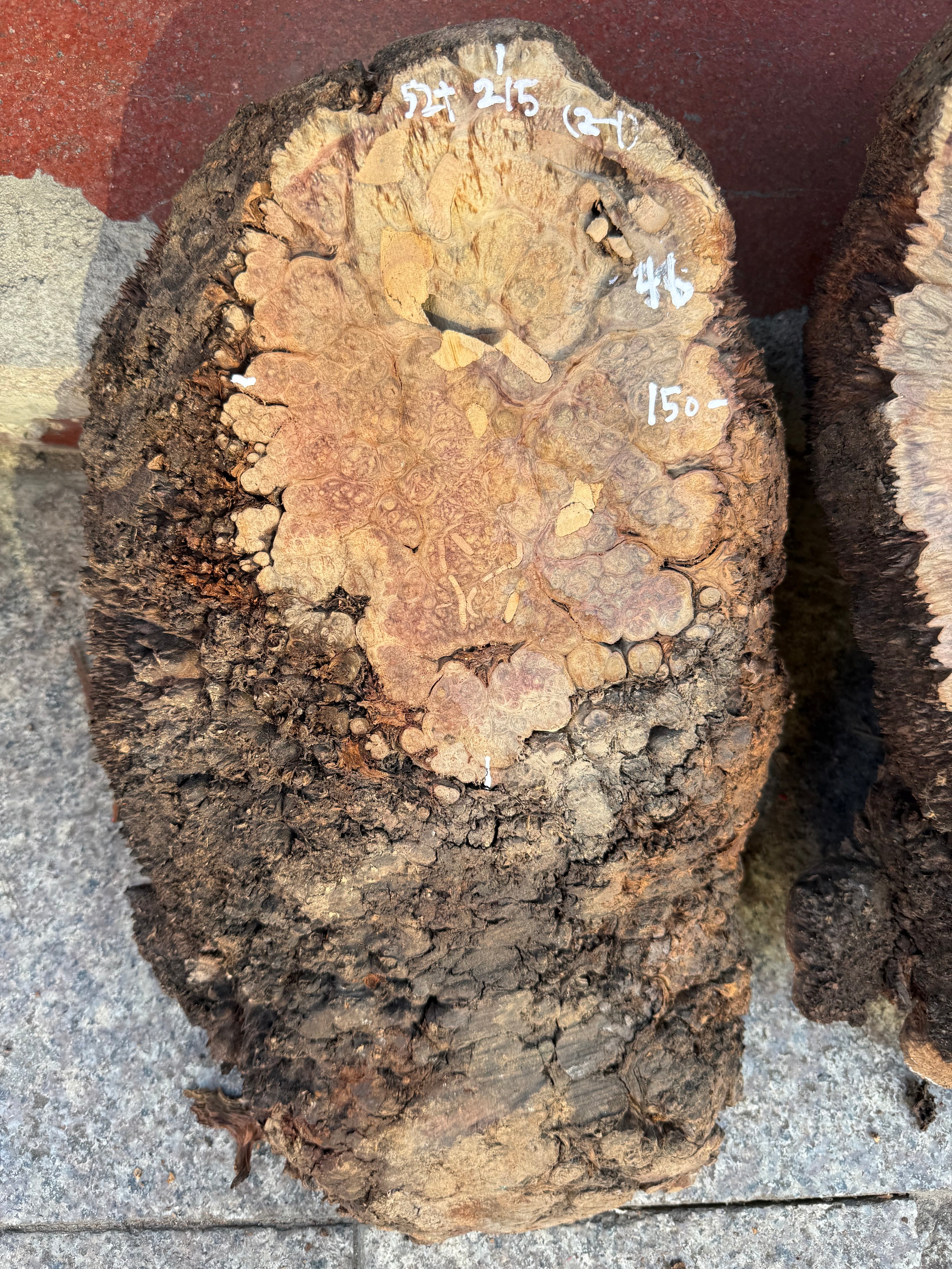 Cocobolo burls A grade