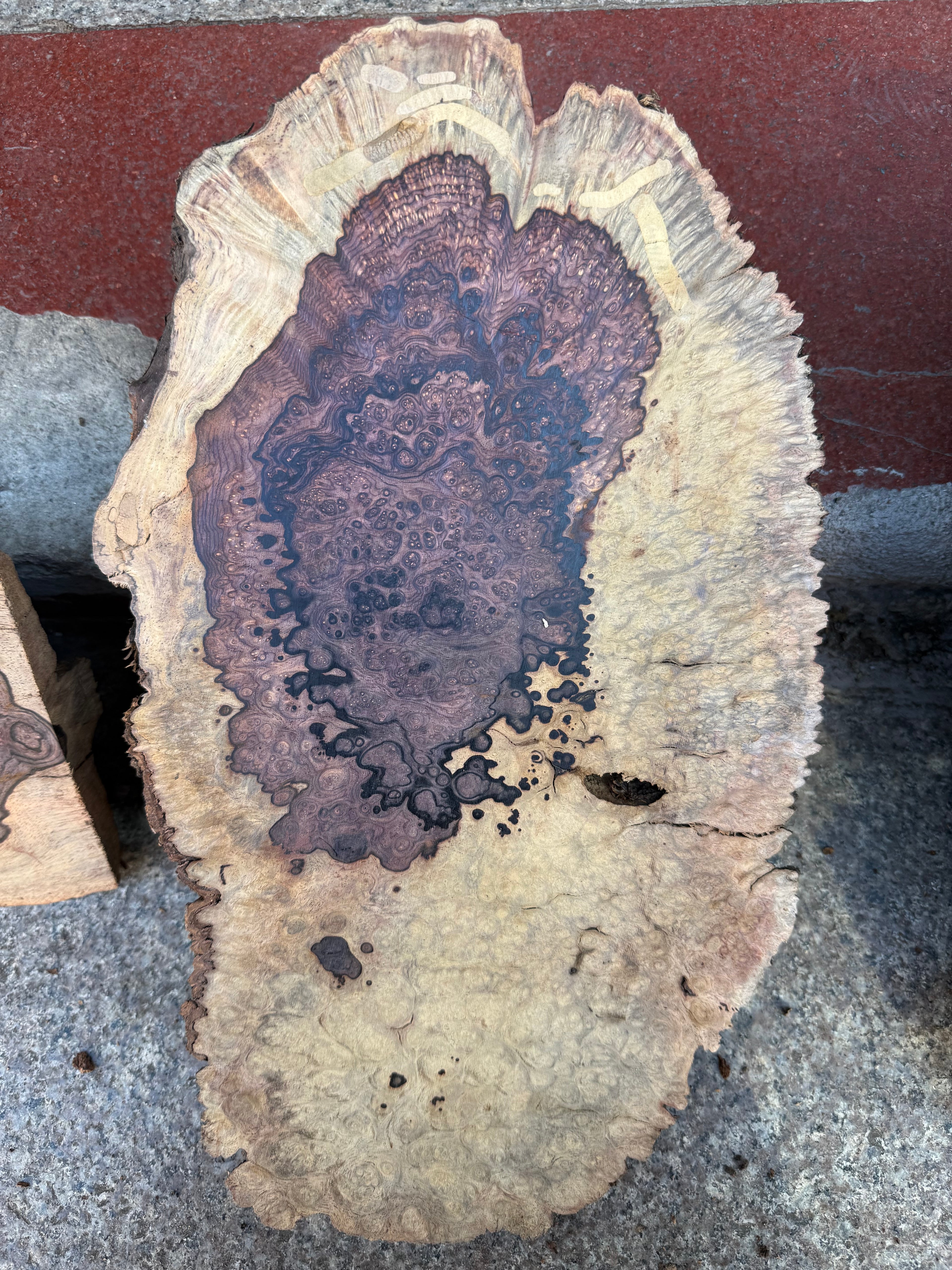 Cocobolo burls A grade