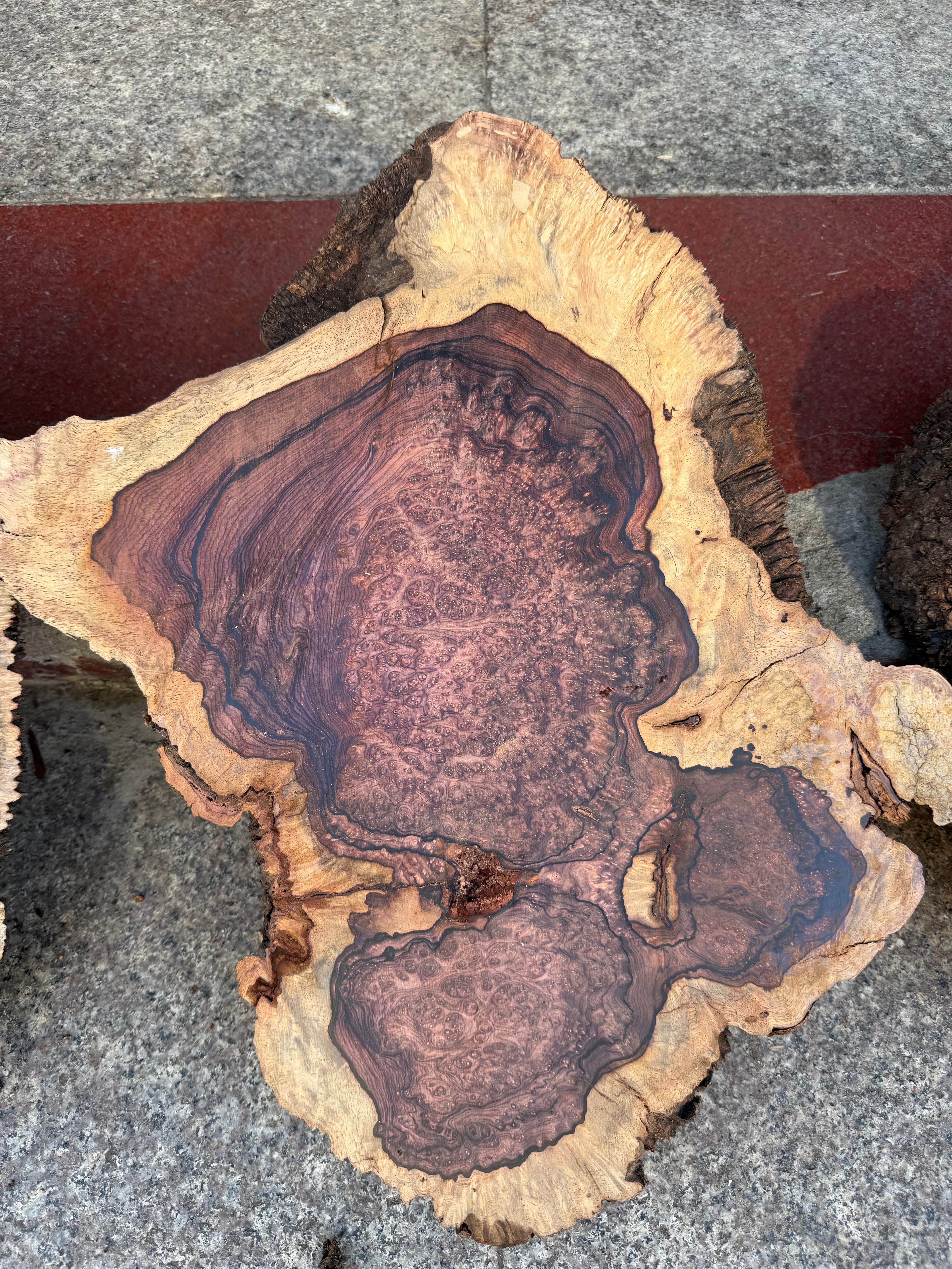 Cocobolo burls A grade