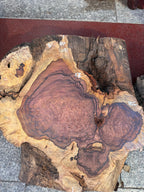 Cocobolo burls A grade