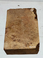 Red lndera burls