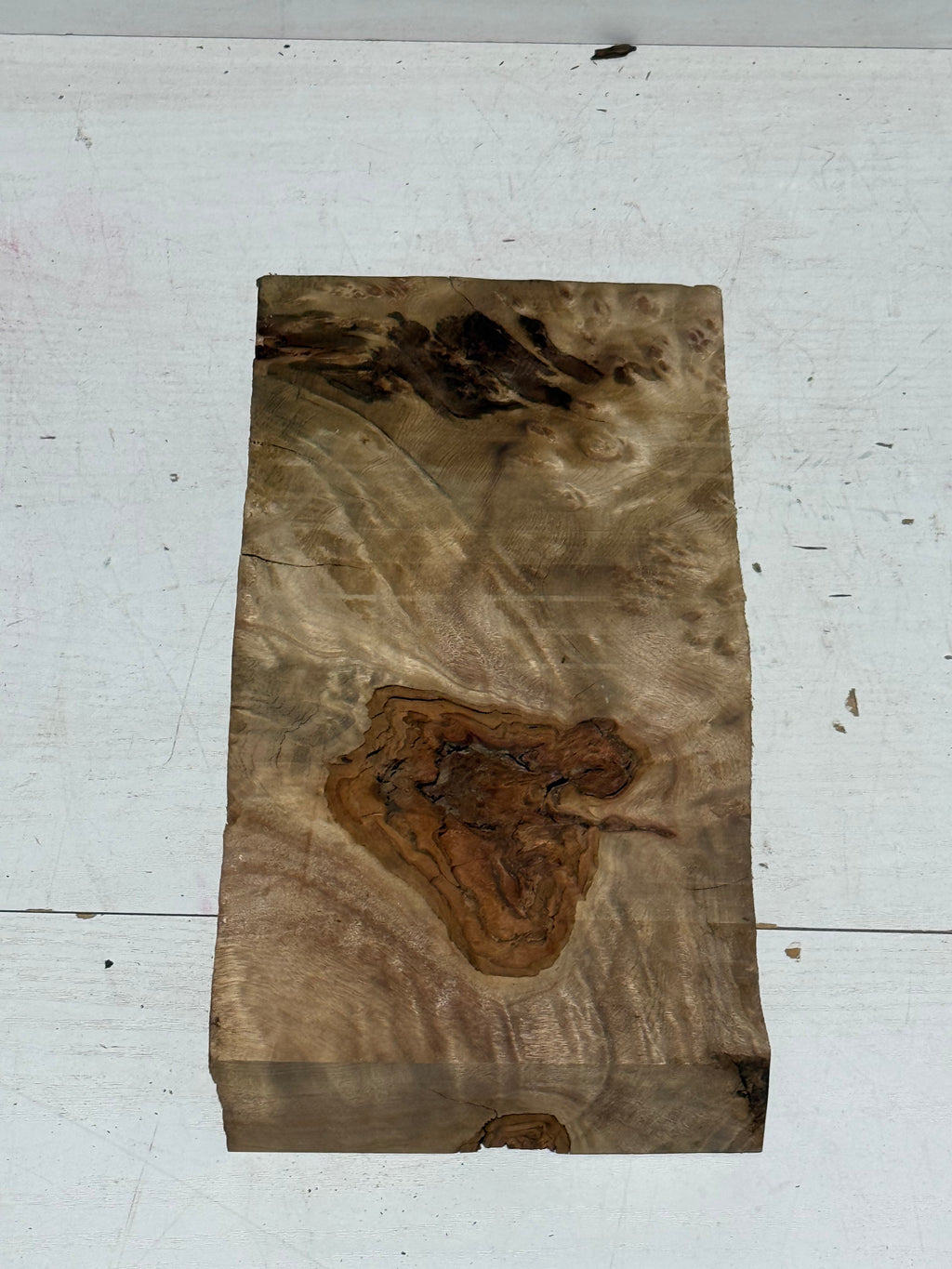 Golden lindera burls B grade