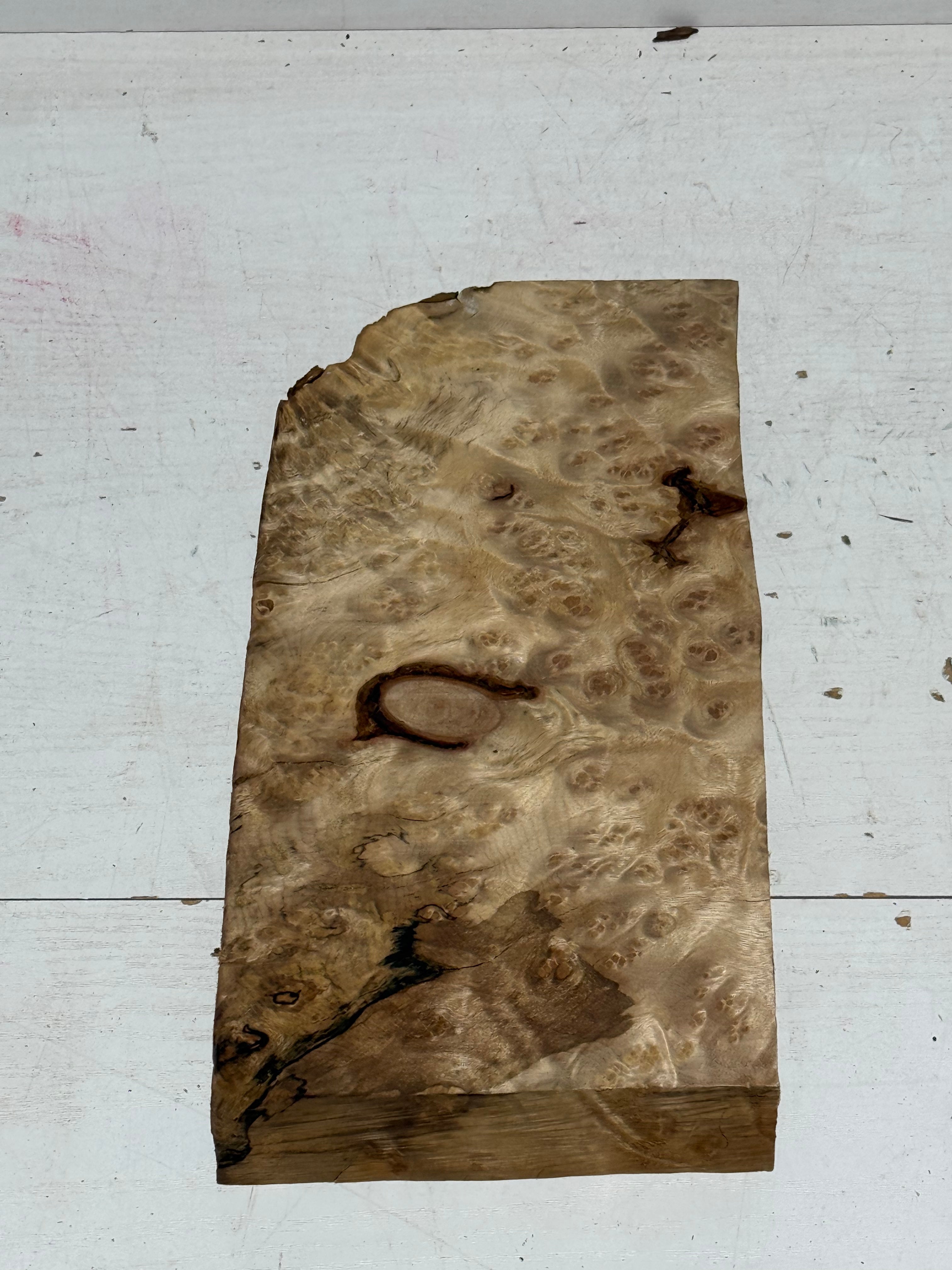 Golden lindera burls B grade