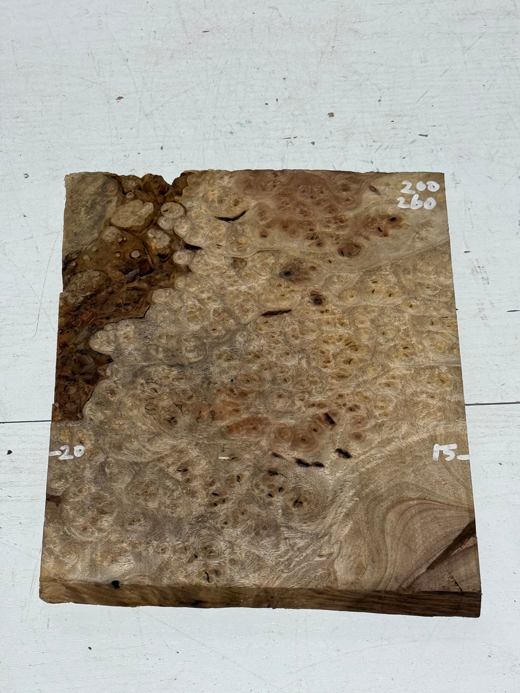 Golden lindera burls B grade