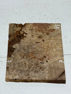 Golden lindera burls B grade