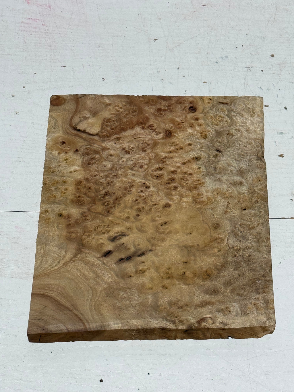 Golden lindera burls B grade