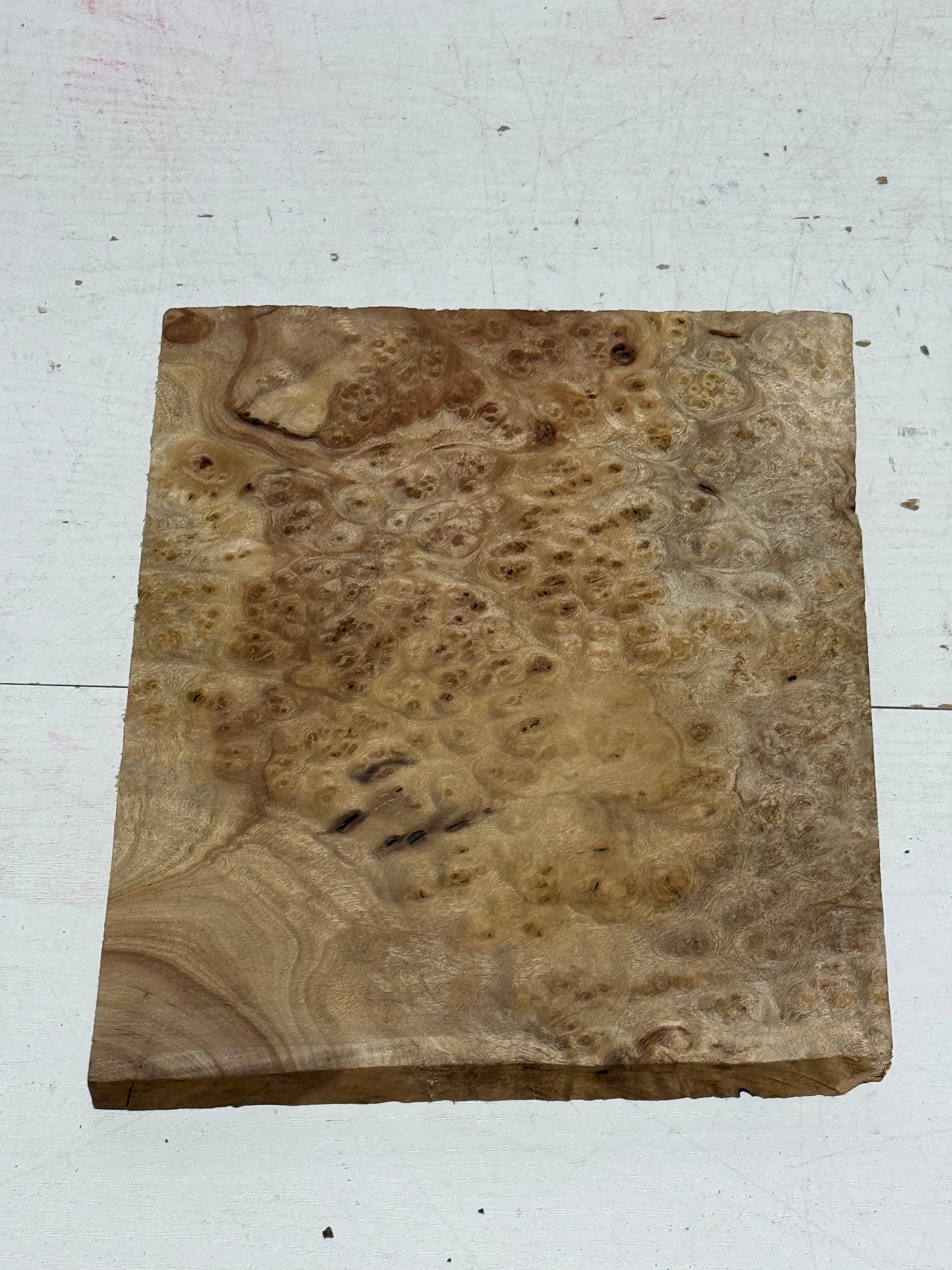 Golden lindera burls B grade