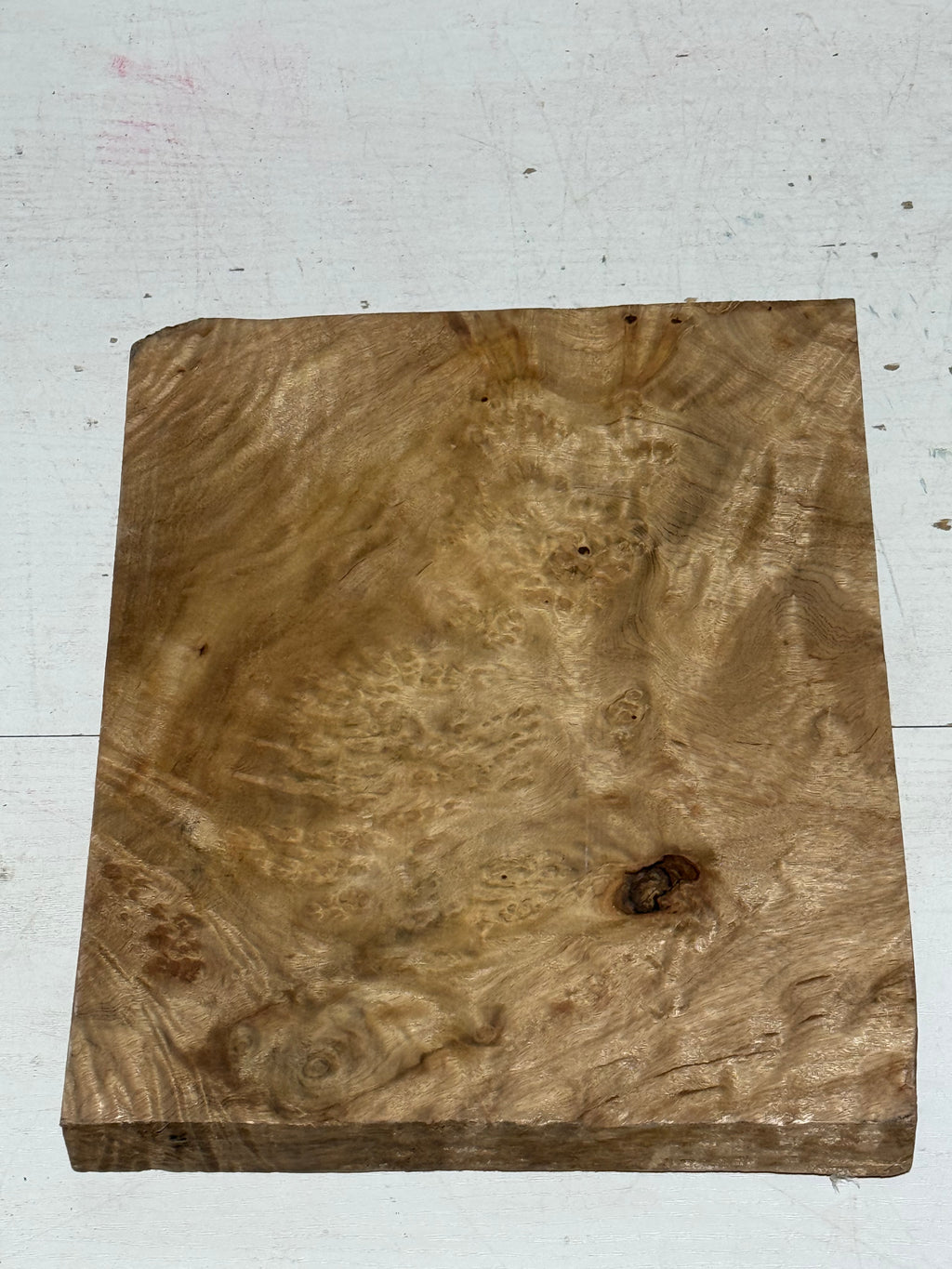 Golden lindera burls B grade